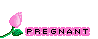 pregnant.gif