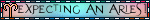 expectingaries.gif